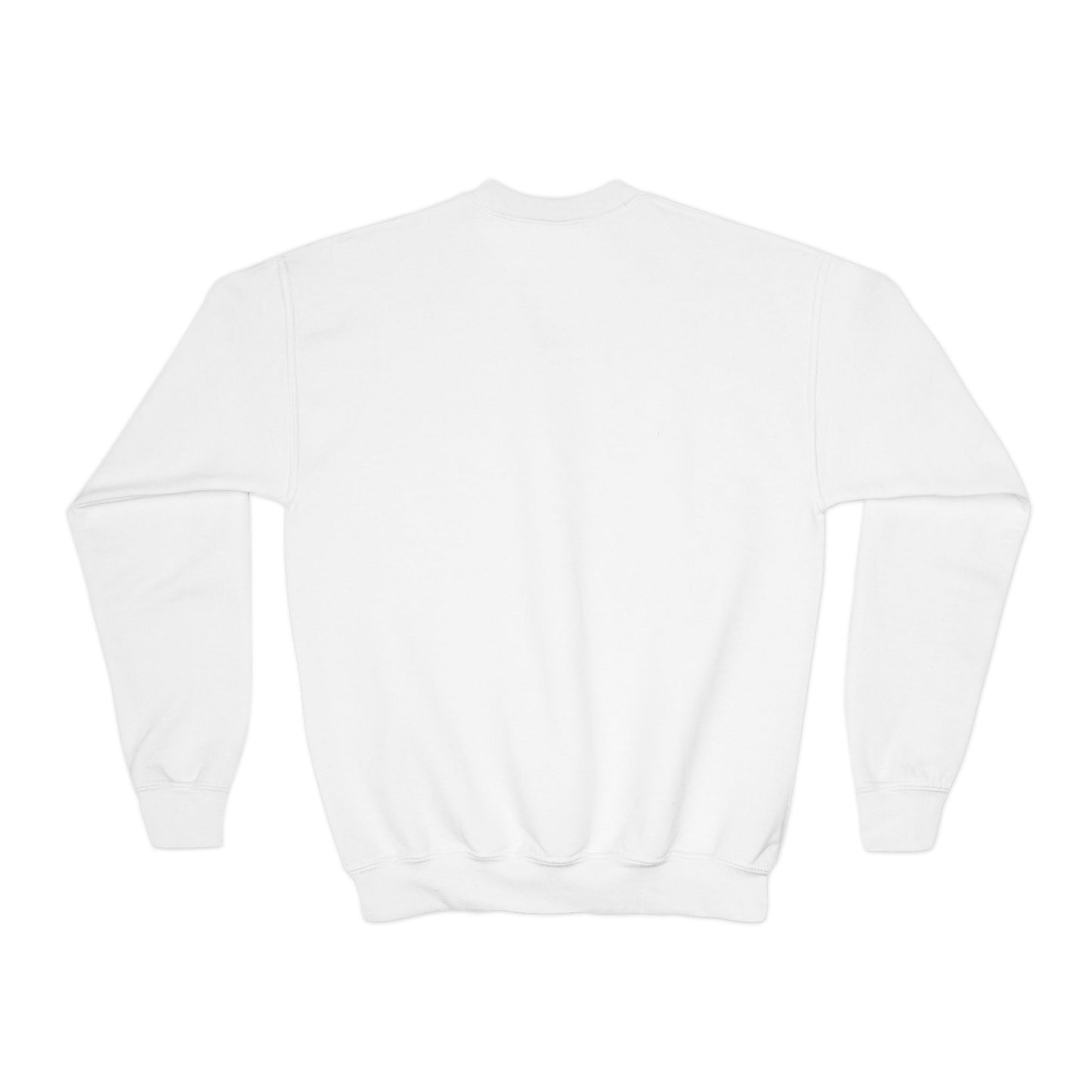 Cool Santa - Youth Crewneck Sweatshirt